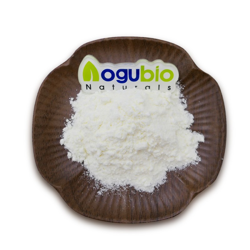 Probiotics Powder Factory - Freeze-dried Powder Original Manufacturer