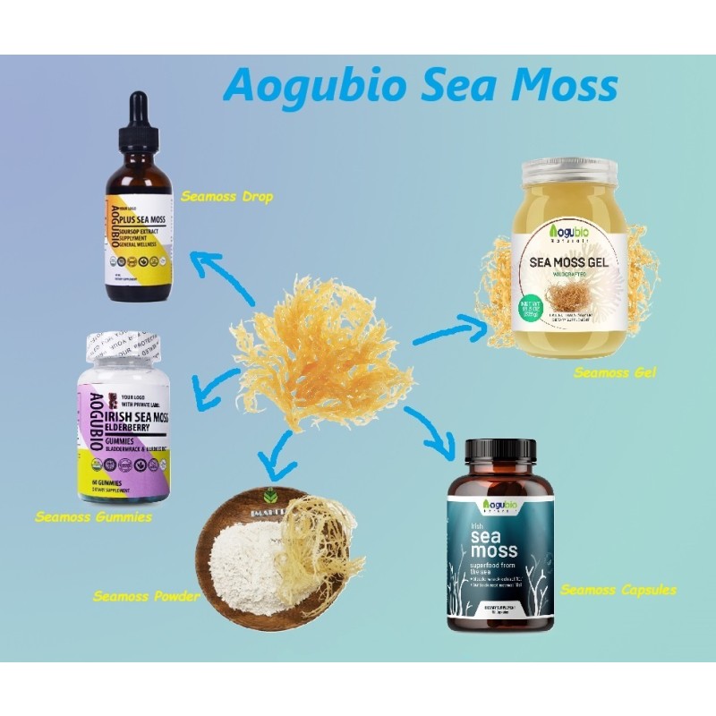 Sea Moss Capsules Factory - Private Label Immune Support Burdock Complex