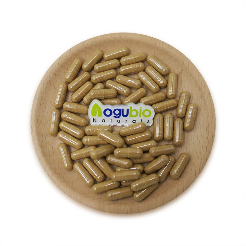 Tea Tree Mushroom Supplier - Agrocybe Chaxingu Extract Powder