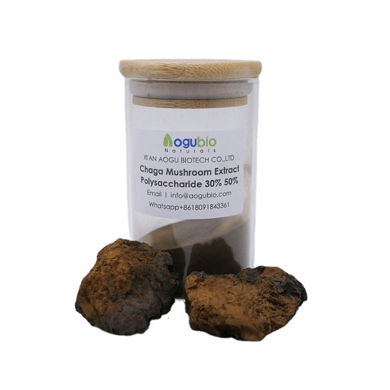 Polyporus Extract Powder Manufacturer - Mushroom Polysaccharide Umbellatus