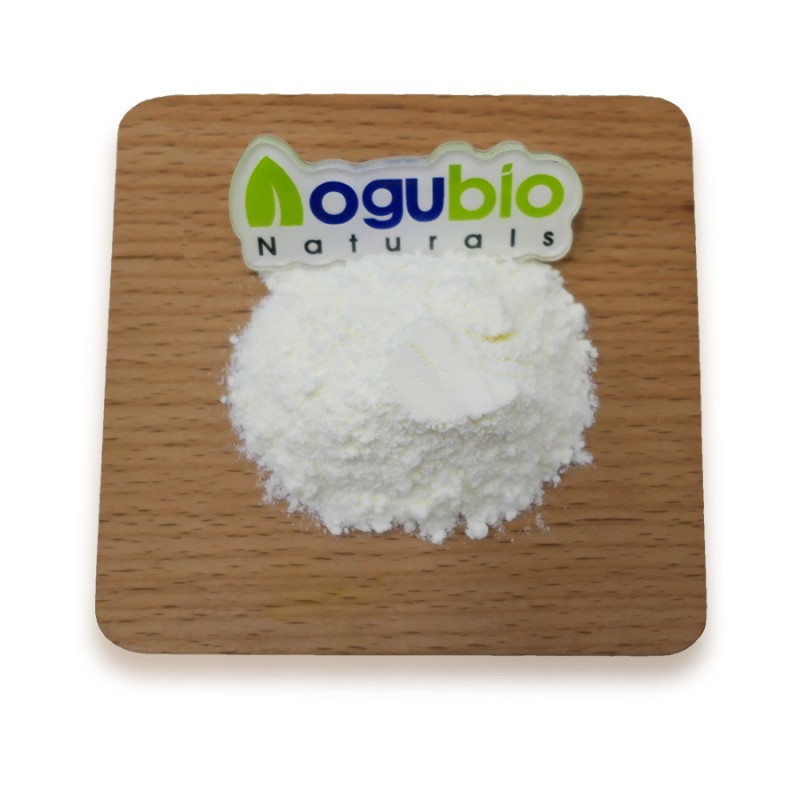 Probiotics Powder Factory - Freeze-dried Powder Original Manufacturer