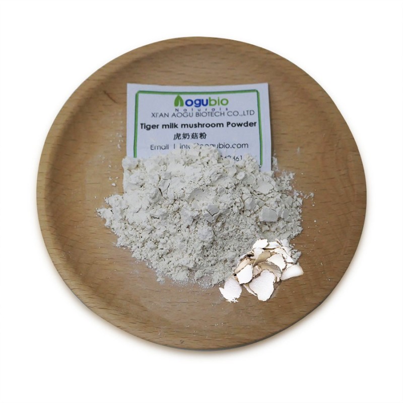 Tiger Milk Powder Manufacturer - Lignosus Rhinocerus Mushroom