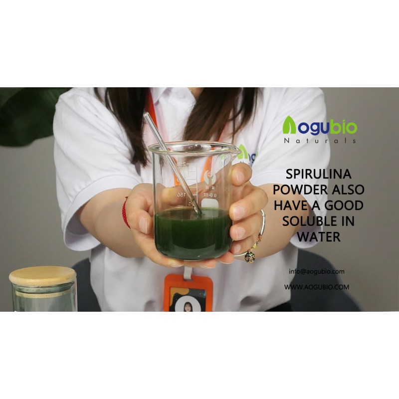 Chlorella Powder Manufacturer - Newest Batch Organic Green Extract