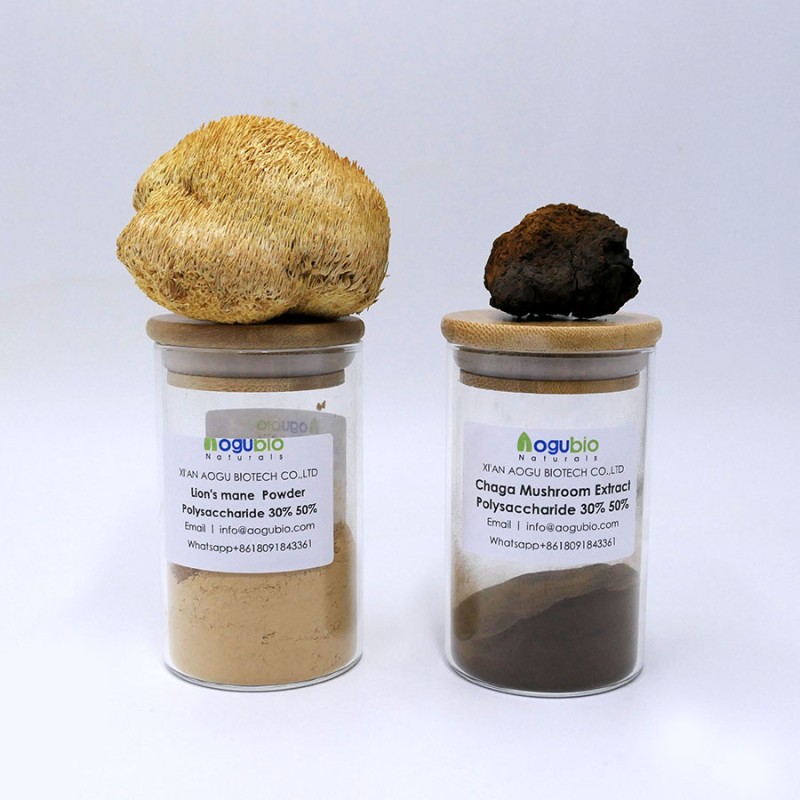 Polyporus Extract Powder Manufacturer - Mushroom Polysaccharide Umbellatus
