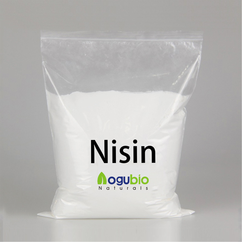 Lactobacillus Reuteri Manufacturer - OEM Food Ingredients Freeze-dried