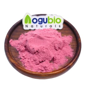 Cherry Powder Factory - Hot Selling Organic Fruit Extract