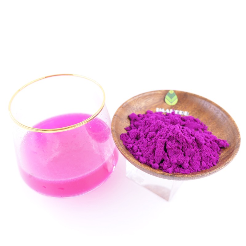 Red Dragon Fruit Powder Supplier - Superfood Freeze-Dried Additive