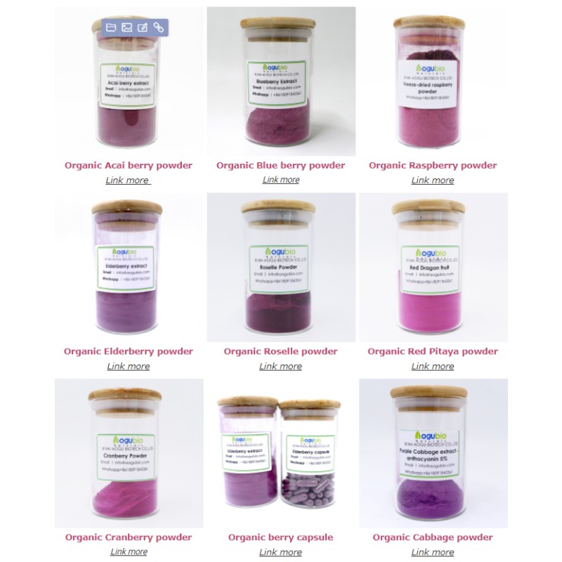 Mango Powder Supplier - Food Additive Water Soluble Health Supplement