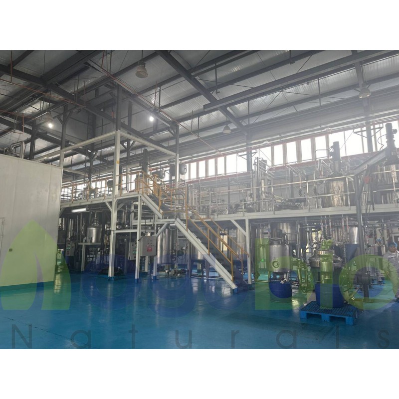 Pullulan Supplier - 2025 Hot Sell Food Additive Good Service