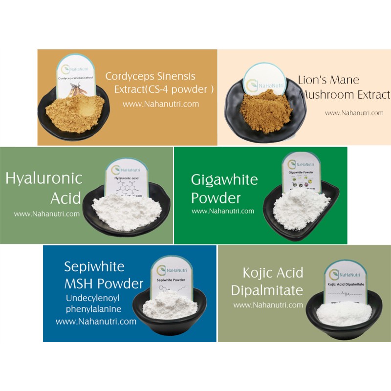 Lions Mane Powder Manufacturer - ISO Organic Mushroom Extract