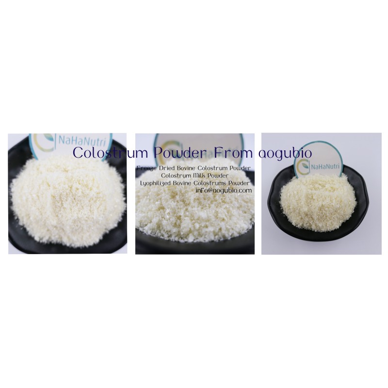 Bovine Colostrum Powder Manufacturer - Bulk Wholesale Original Powder