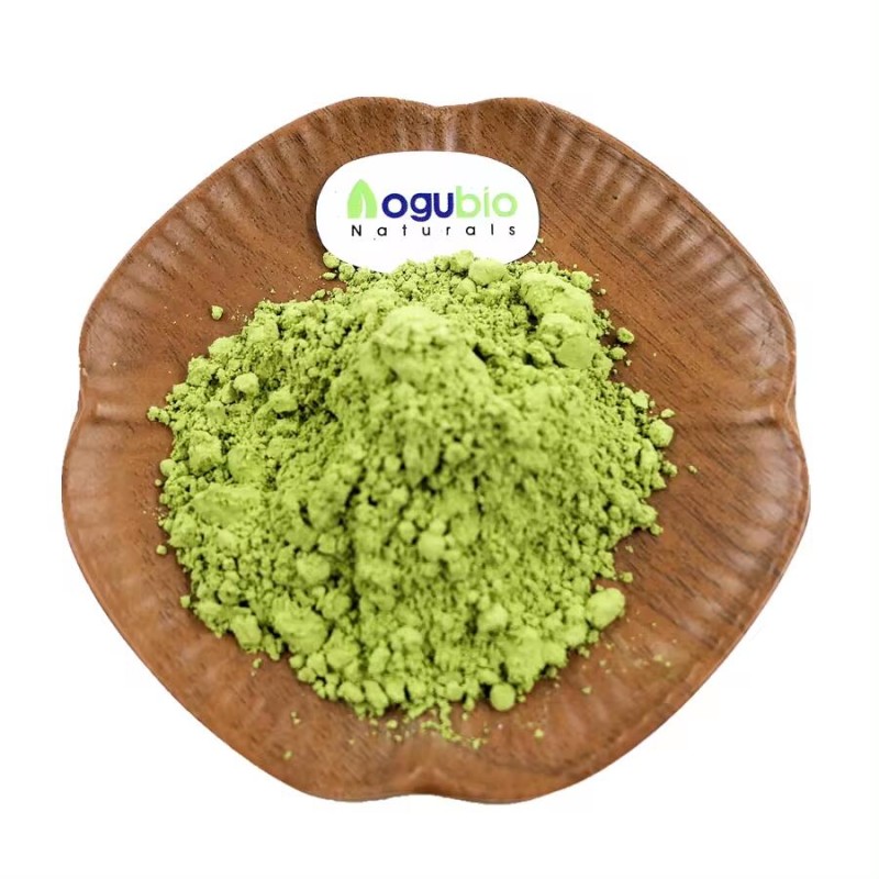 Super Green Powder Supplier - Organic Vegan Supplement Health Care