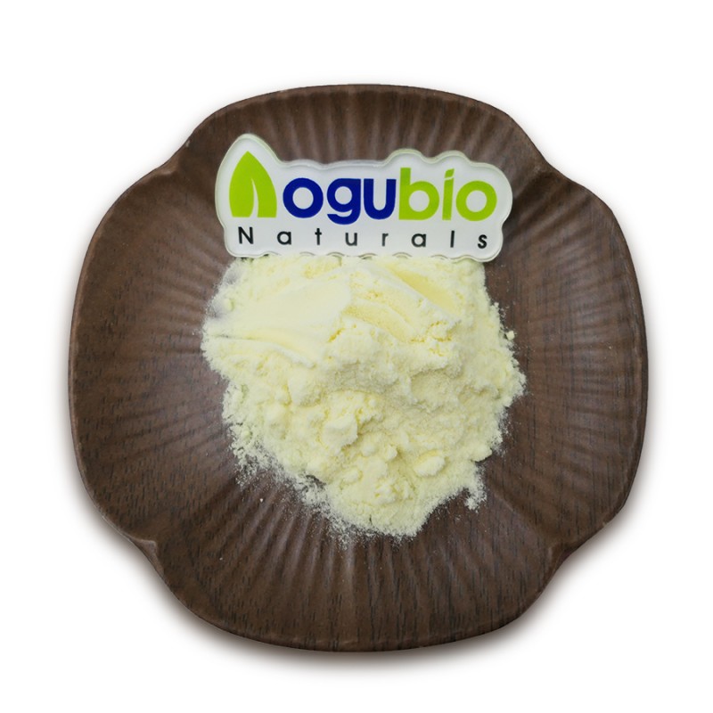 Freeze Dried Orange Powder Factory - Superfood Natural Juice Powder