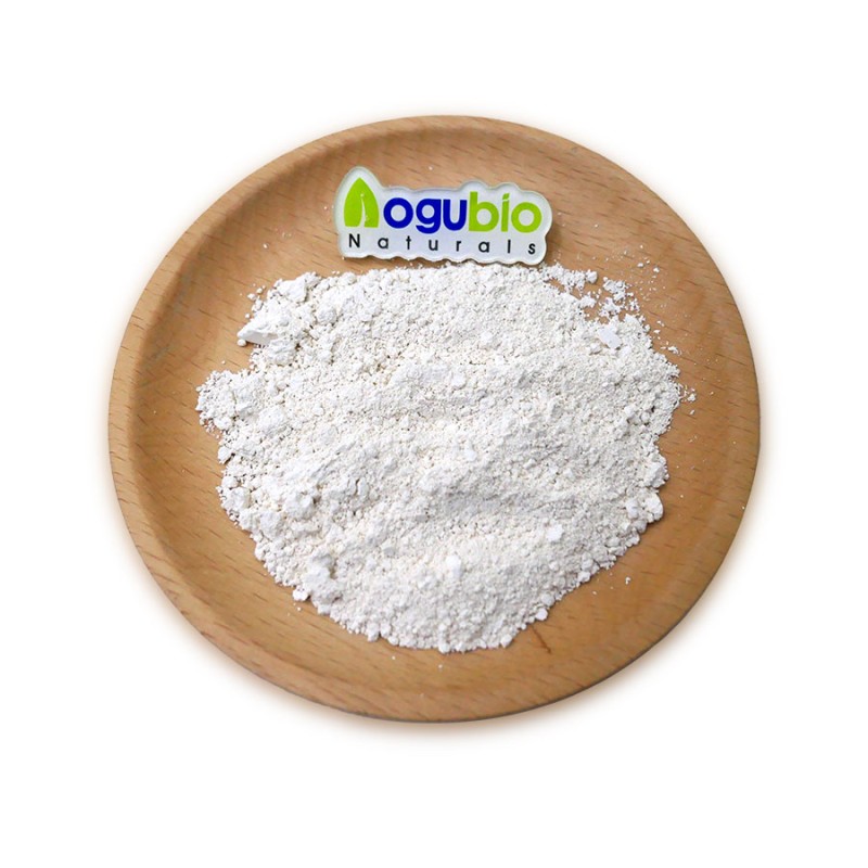 Probiotics Powder Supplier - Freeze-dried Original Manufacturer