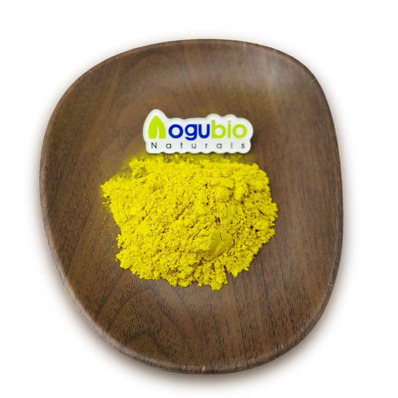 Berberine Powder Supplier - High Quality HCL 85% Organic Extract