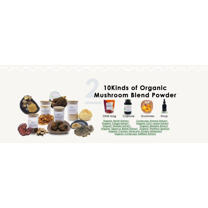 Cordyceps Extract Manufacturer - 30% Polysaccharide Sinensis
