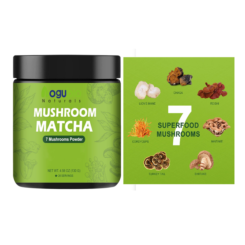 Turkey Tail Extract Factory - Organic 30-50% Polysaccharides