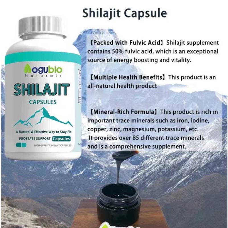 Shilajit Capsules Manufacturer - High Quality Extract Wholesale