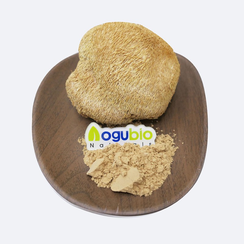 Lions Mane Powder Manufacturer - ISO Organic Mushroom Extract