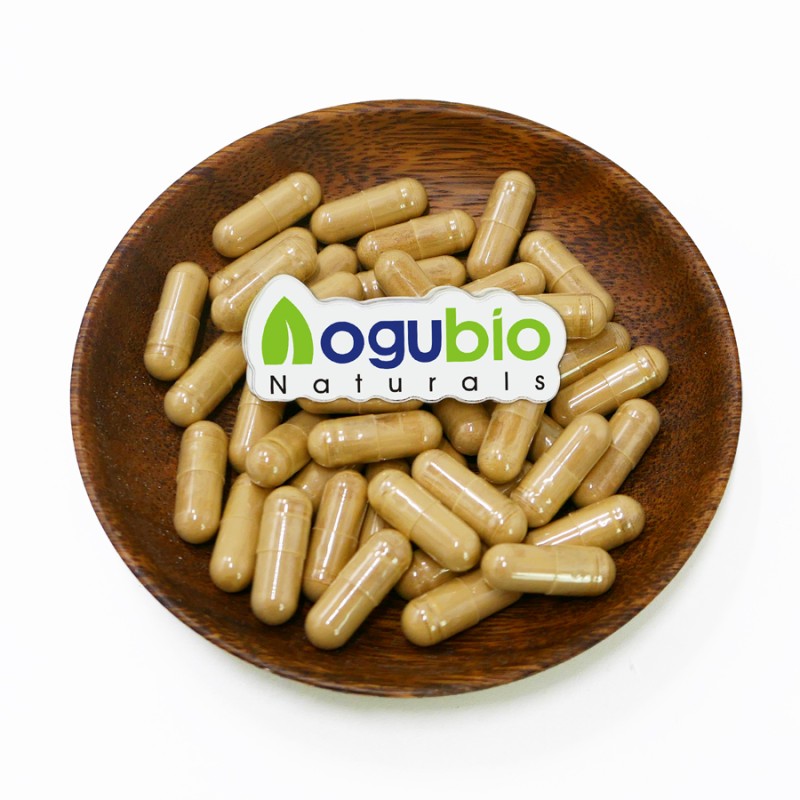 Turkey Tail Extract Factory - Organic 30-50% Polysaccharides