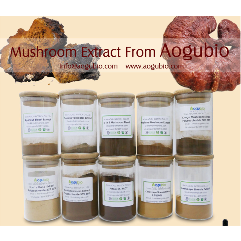 Turkey Tail Extract Factory - Organic 30-50% Polysaccharides