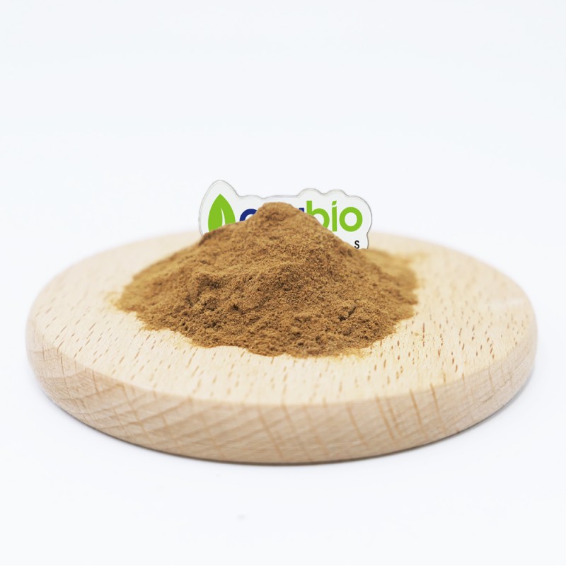 Reishi Extract Powder Factory - Natural Mushroom Extract Powder