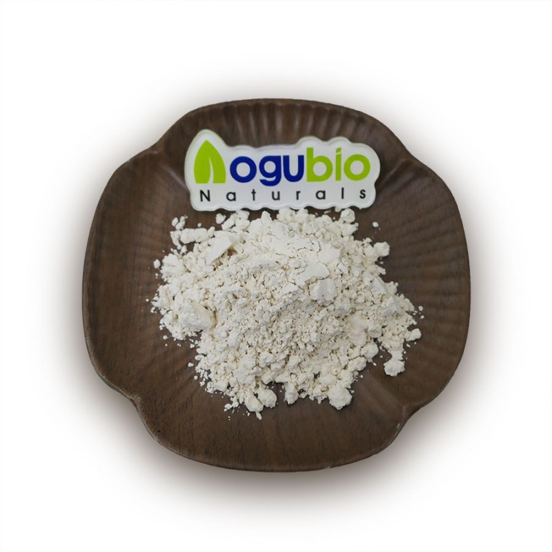 Bifidobacterium Bifidum Manufacturer - Food Ingredients Freeze-dried