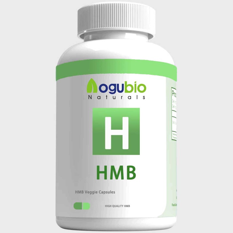 HMB Creatine Powder Manufacturer - Private Label with Vitamin D3 Betaine
