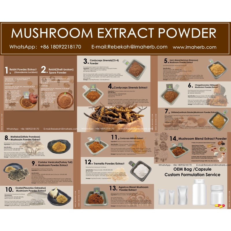 Agrocybe Extract Supplier - Polysaccharide Aegerita Plant Extract