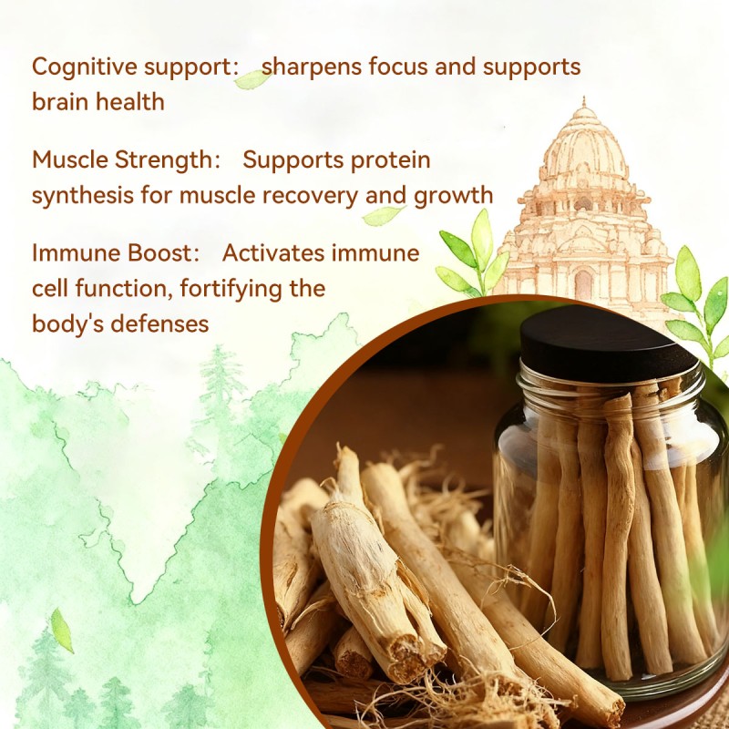 Ashwagandha Capsules Supplier - Organic Extract Sleep Energy Relax