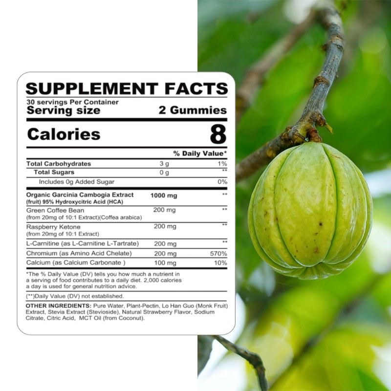 Garcinia Cambogia Gummies Factory - Hot Sale Sugar Free Weight Management