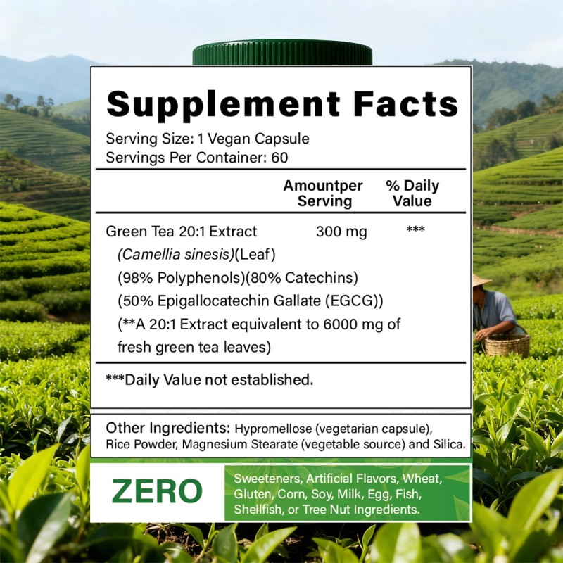 Green Tea Extract Factory - 80% Catcehins 50% EGCG 98% Polyphenols