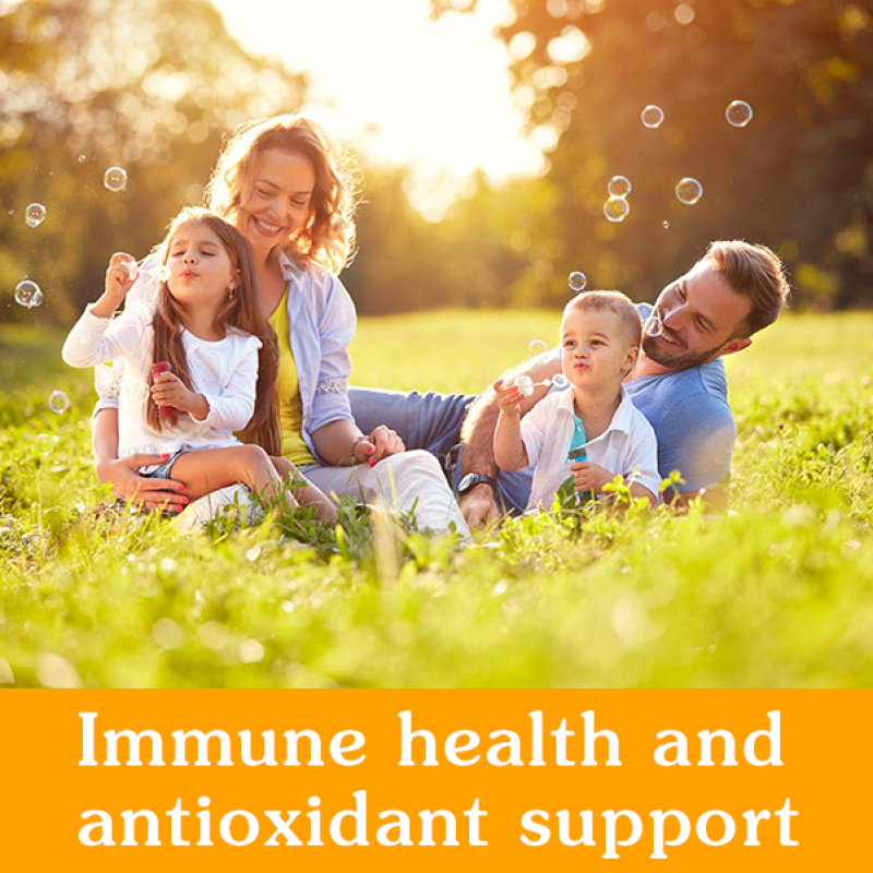 Vitamin C Gummies Factory - Wholesale Dietary Supplement Iron Absorption