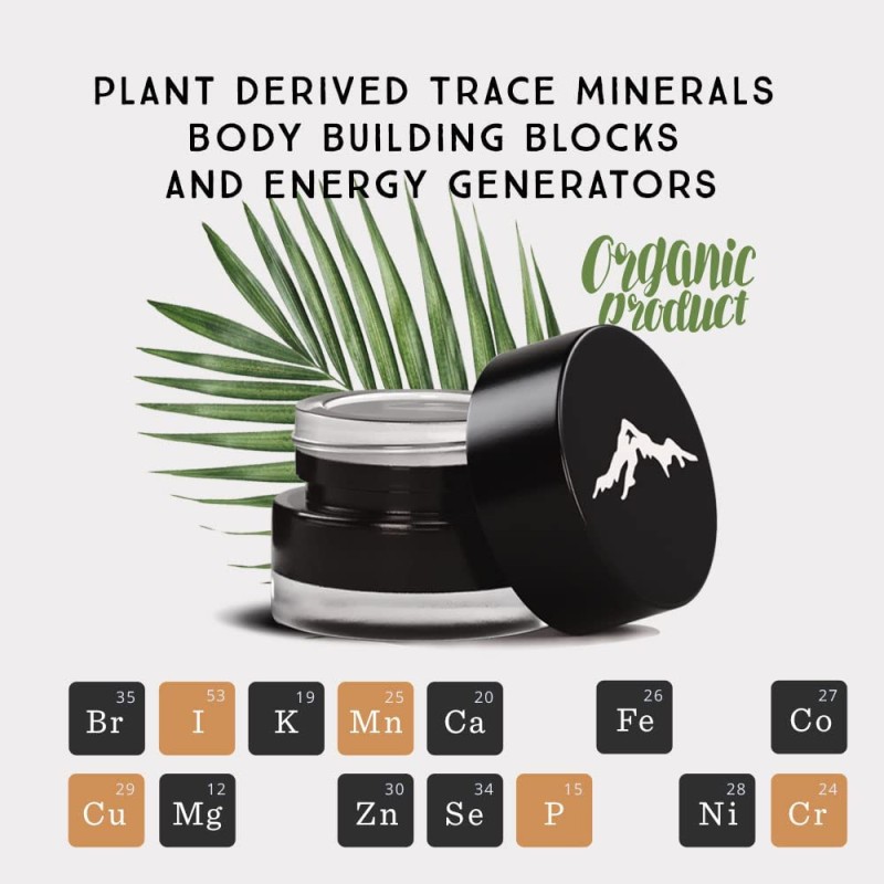 Himalaya Shilajit Resin Supplier - Ayurvedic Fulvic Acid Immune