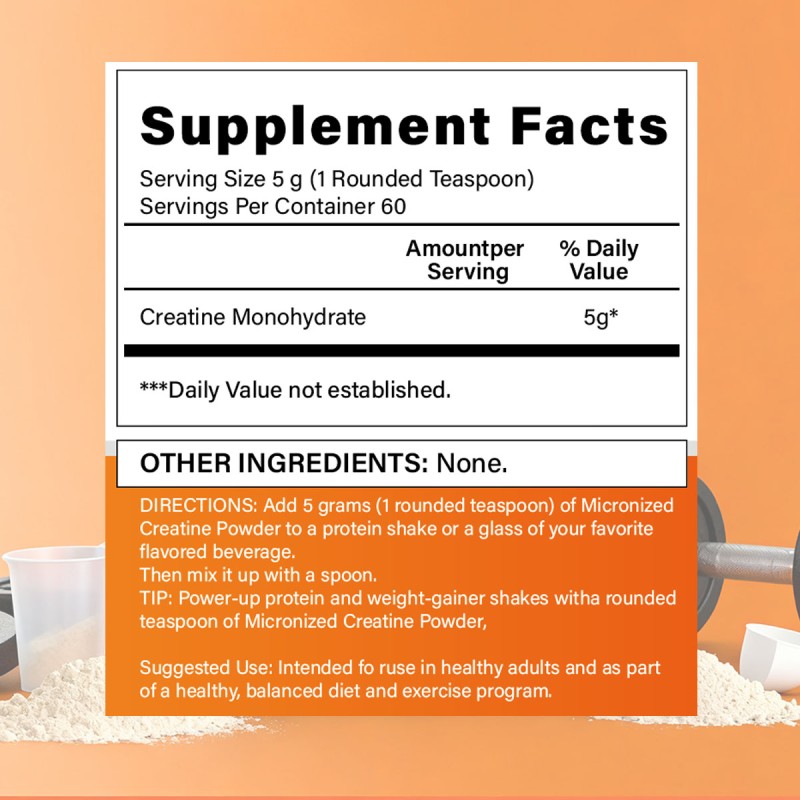 Creatine Powder Supplier - Pure Micronized Pre Workout Energy