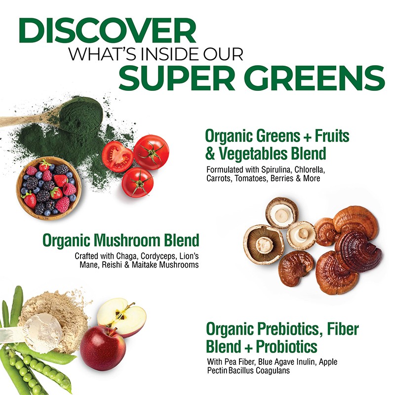 Super Greens Powder Supplier - Mushrooms Probiotics Gut Energy