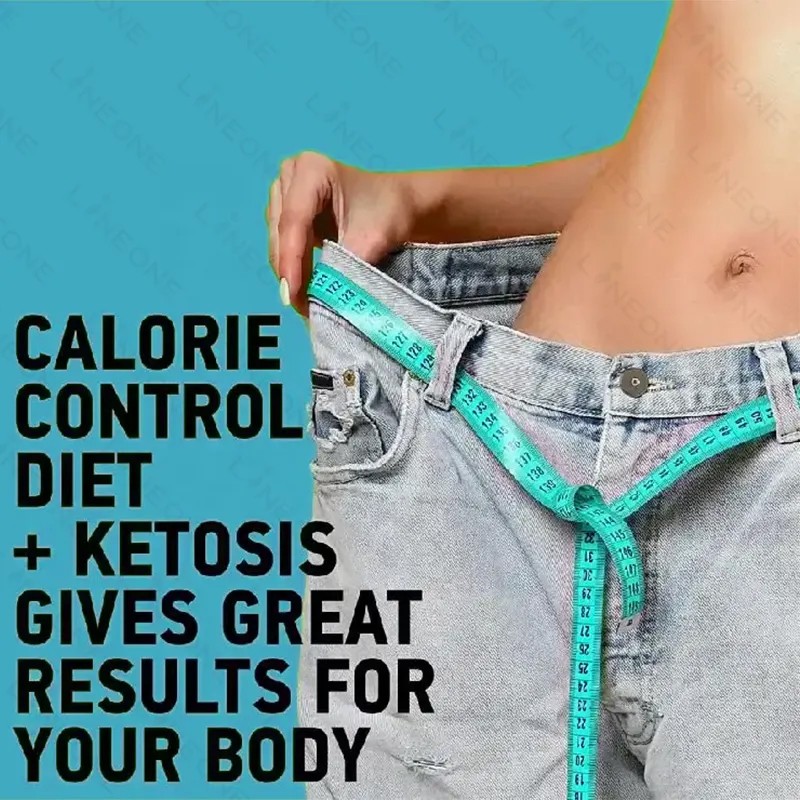 Fat Burning Capsules Manufacturer - Lipid Metabolism Adipose Management