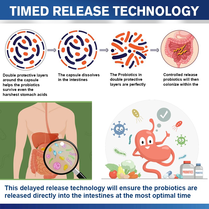 Probiotics Softgel Supplier - OEM Digestive Enzyme Custom Formula