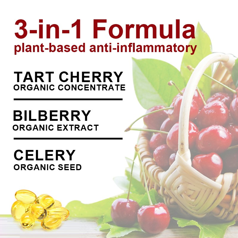 Tart Cherry Capsules Factory - OEM Sleep Muscle Recovery Bulk
