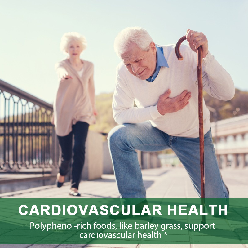 Barley Grass Capsule Factory - OEM Cardiovascular Health Bulk