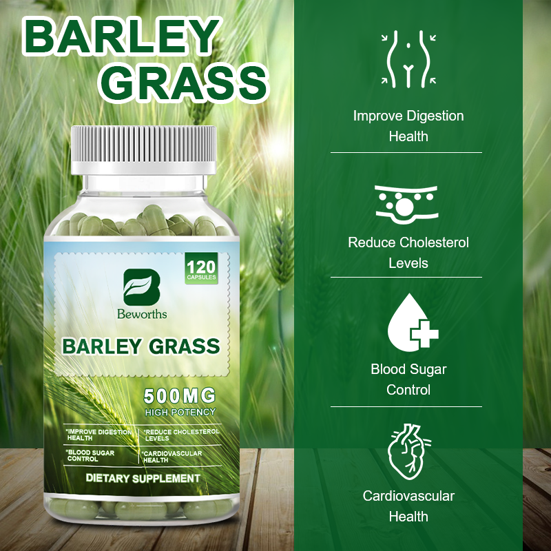 Barley Grass Capsule Supplier - OEM Organic Food Supplement Custom