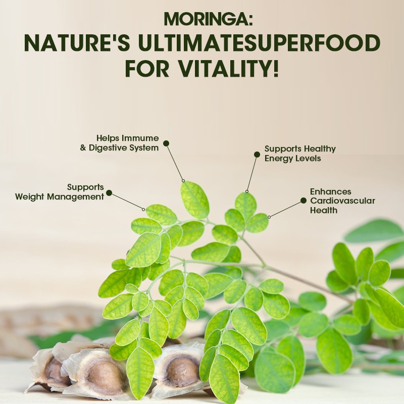 Moringa Capsule Manufacturer - OEM Herbal Leaf Extract Bulk