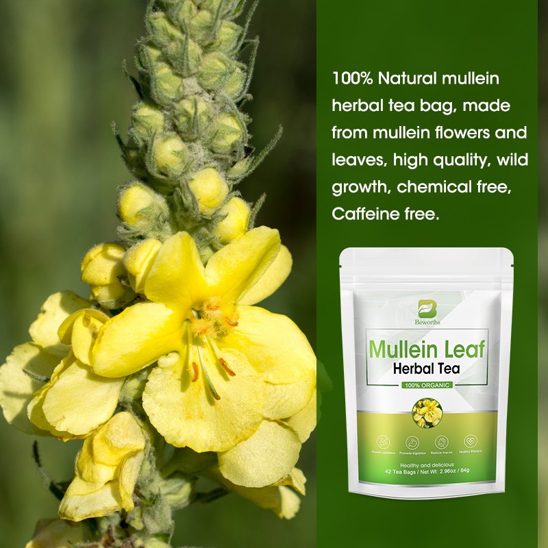 Mullein Leaf Tea Supplier - OEM Digestive Lung Cleanse Bulk