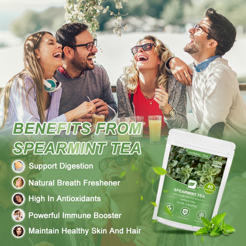 Spearmint Tea Supplier - OEM Organic Herbal Health Custom