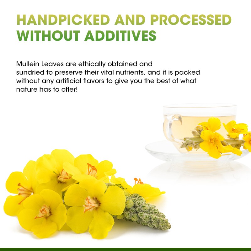 Mullein Leaf Tea Supplier - OEM Digestive Lung Cleanse Bulk