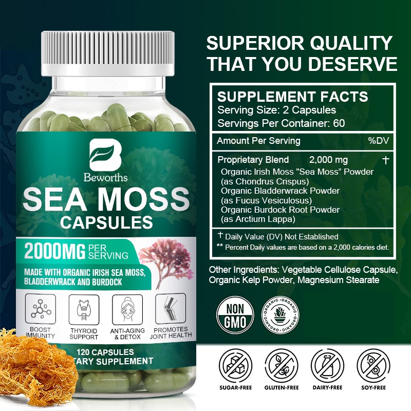 Irish Sea Moss Capsule Manufacturer - OEM Organic Herbal Supplement