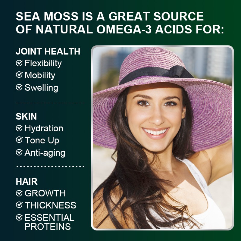 Irish Sea Moss Capsule Manufacturer - OEM Organic Herbal Supplement