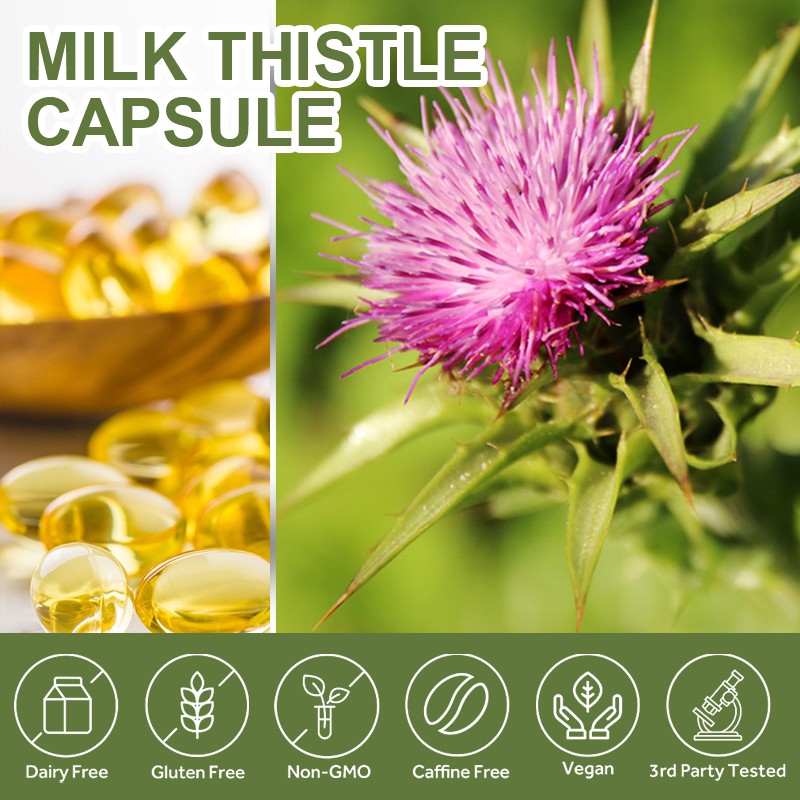 Milk Thistle Capsules Supplier - OEM Liver Health Private Label