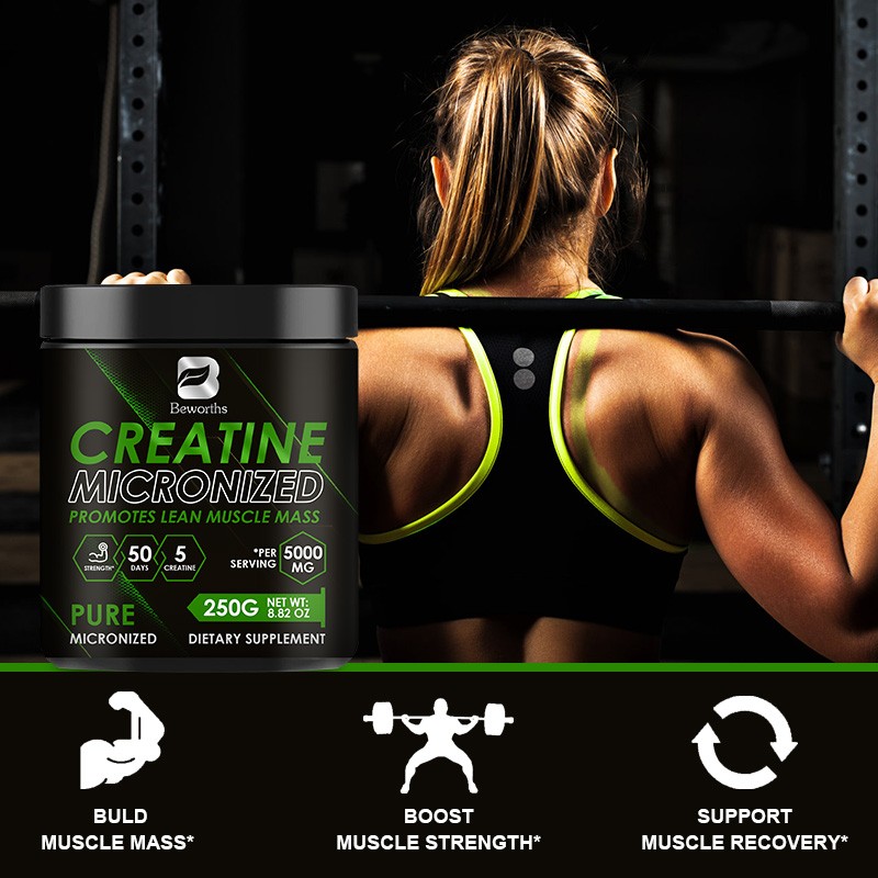 Creatine Monohydrate Powder Supplier - OEM Pure Energy Muscle Support