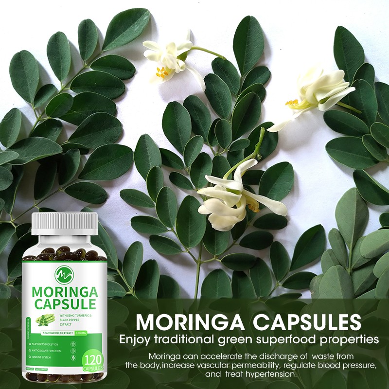 Moringa Capsule Manufacturer - OEM Herbal Leaf Extract Bulk
